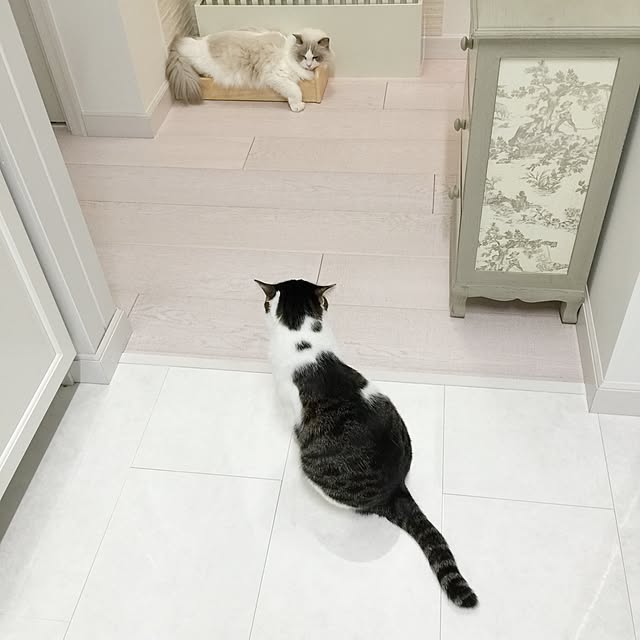 yuchiさんの実例写真