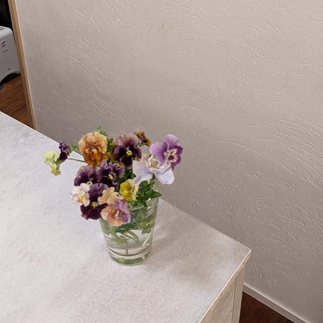 nolleyさんの部屋