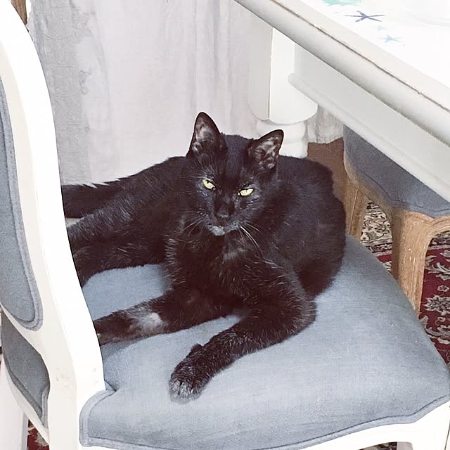Tippiさんの実例写真