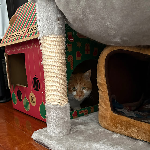 shi622さんの部屋