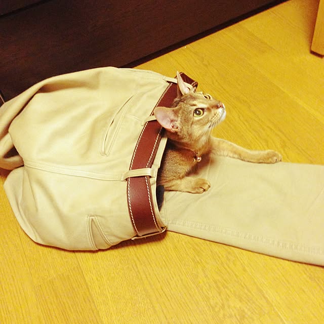sakineko528さんの実例写真