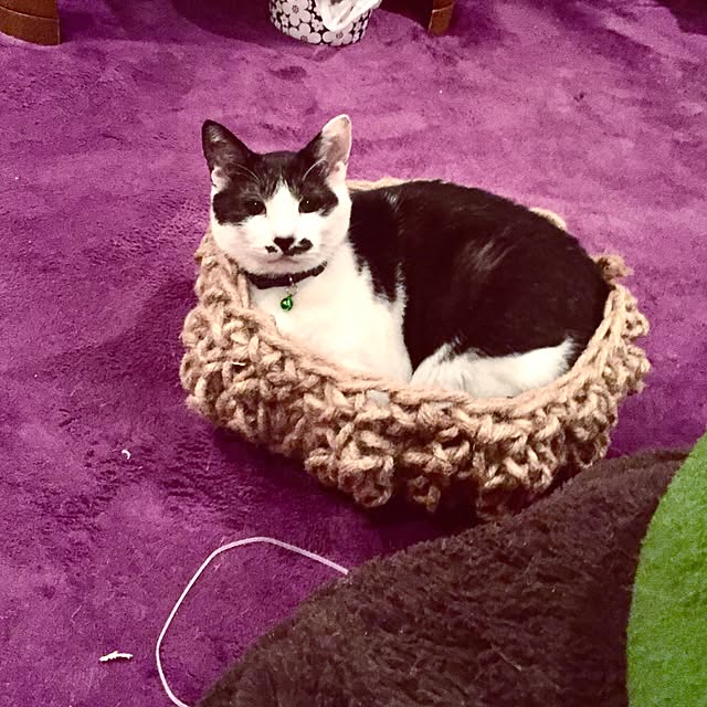 emmyyさんの実例写真
