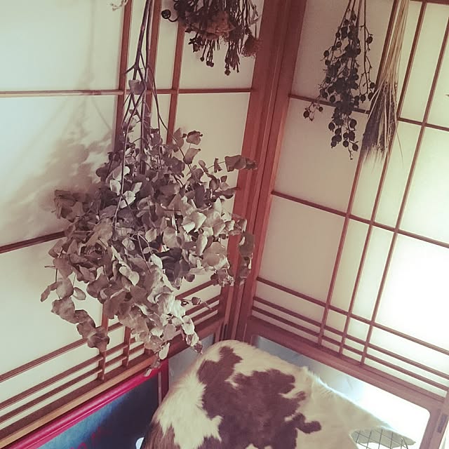 takenさんの実例写真