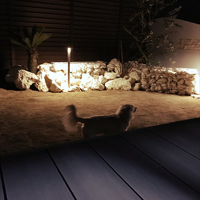 miro_n_chiさんの実例写真