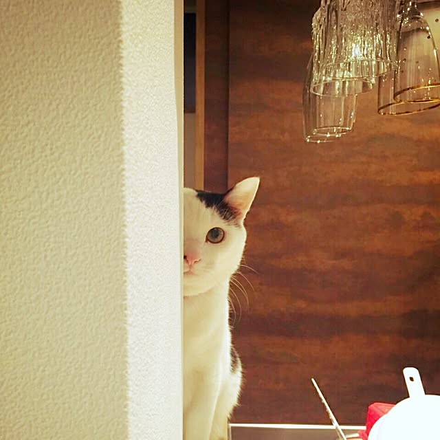 aimi614さんの実例写真