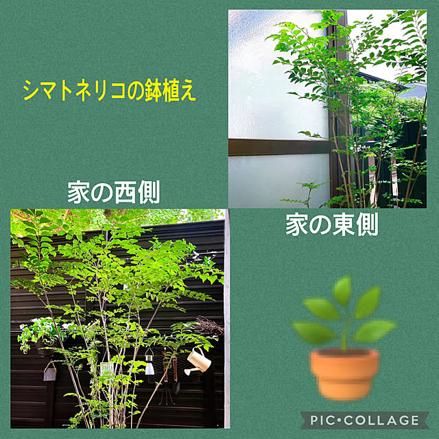 mommyさんの実例写真