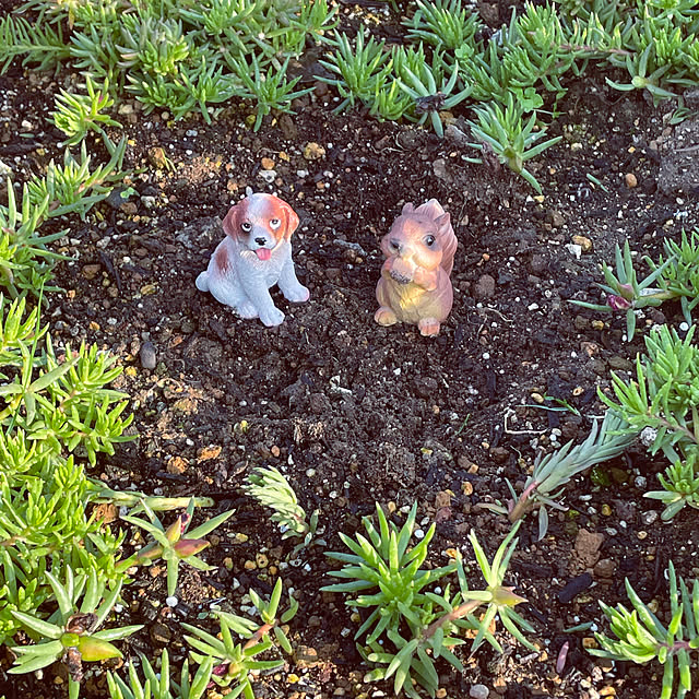 akkeyさんの実例写真