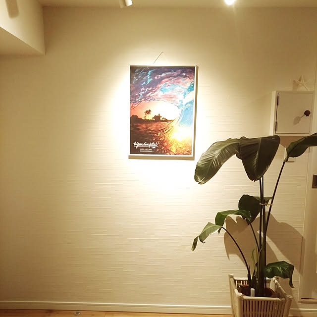 alohakaorenさんの実例写真