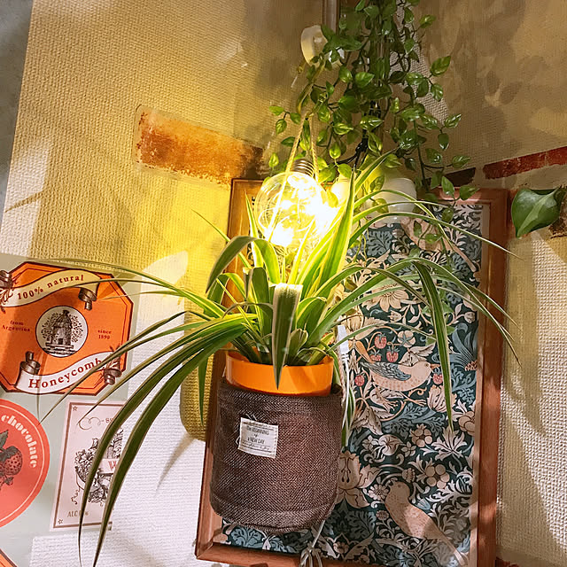 y..mama..さんの実例写真