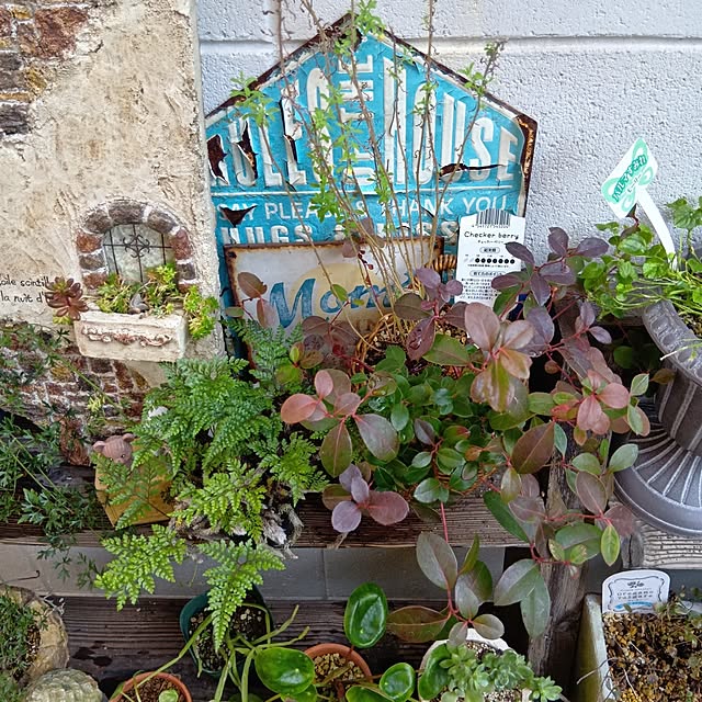 tomomiさんの部屋