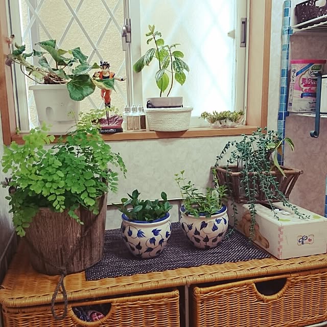 gleenblackさんの実例写真