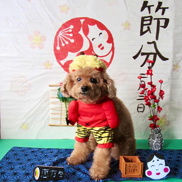 Riku2009さんの部屋