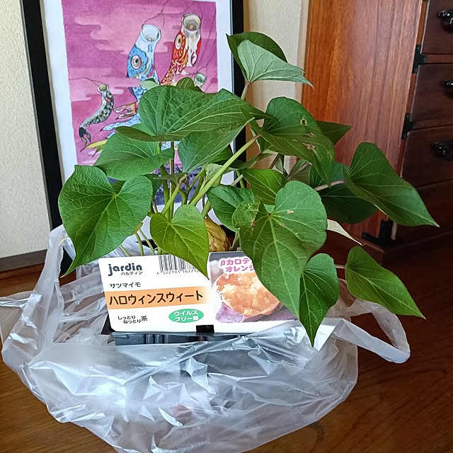 sumimarumiさんの部屋