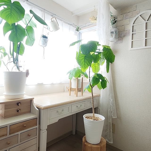 pinonさんの実例写真