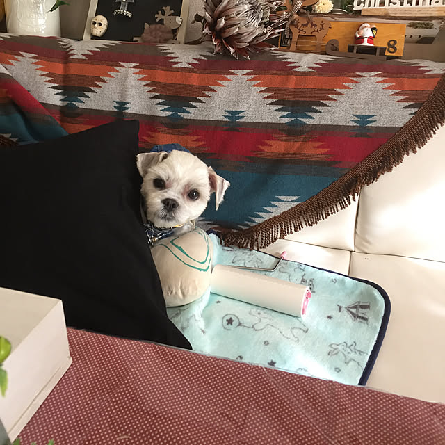 emiさんの実例写真