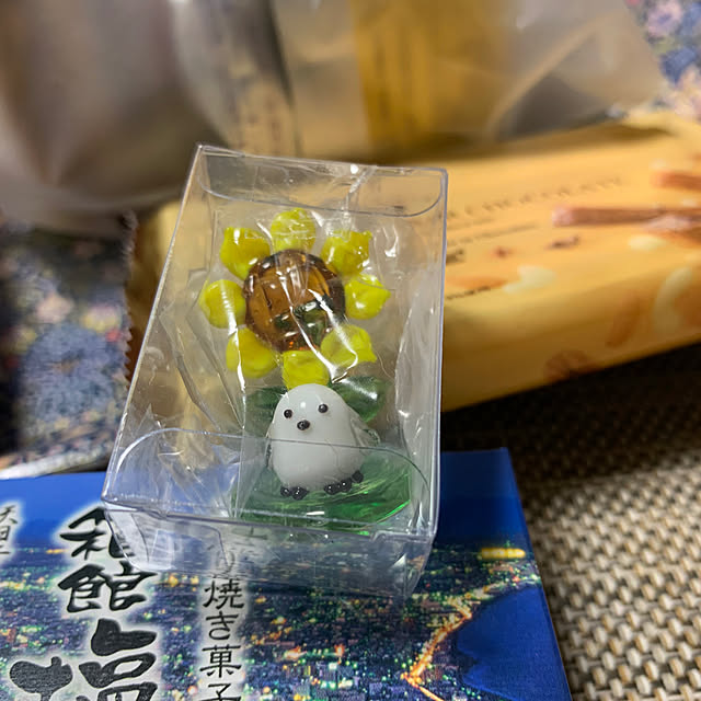 Aqettyさんの部屋