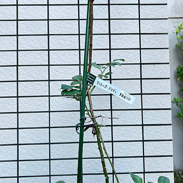 hiromimiさんの部屋