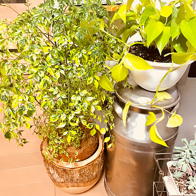 BUNさんの実例写真