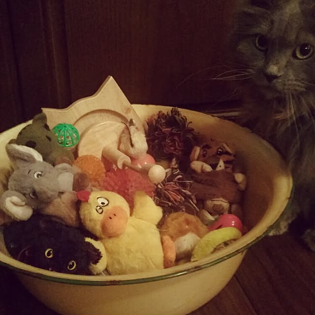 sukusuku834さんの実例写真