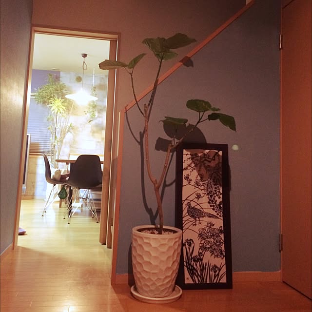 okan0908さんの実例写真