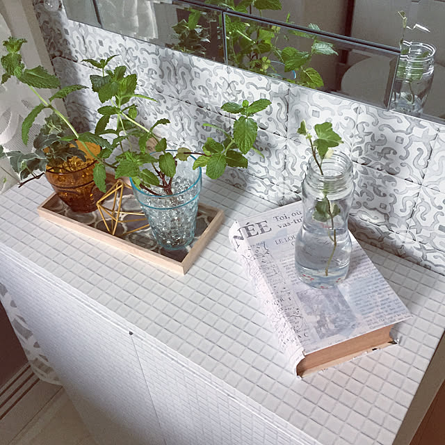 Minteaさんの実例写真
