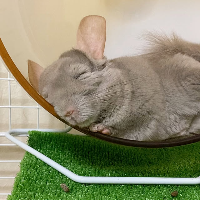 Luluさんの実例写真