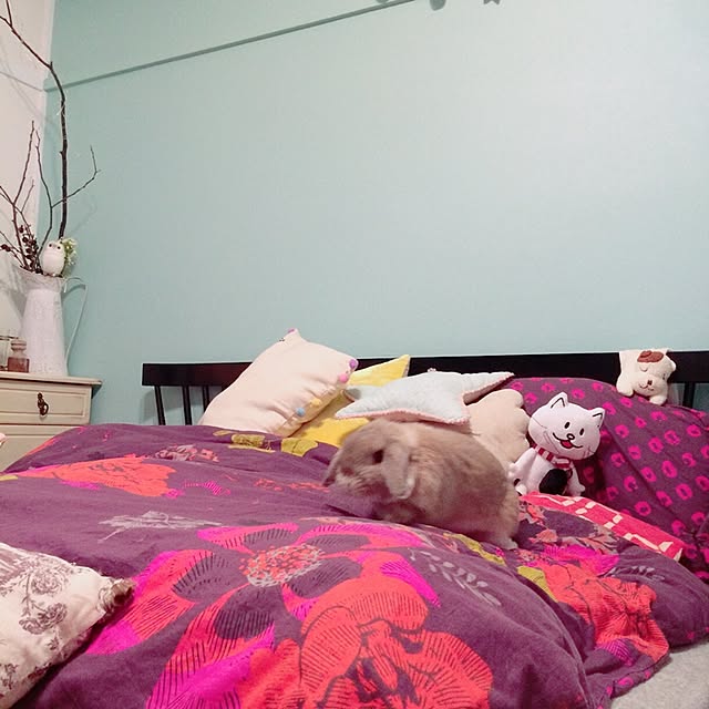 mmipさんの実例写真