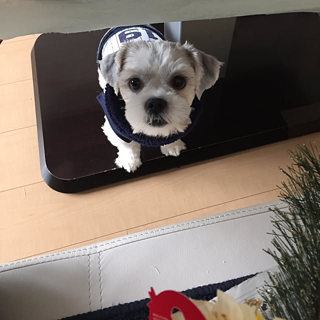 emiさんの実例写真