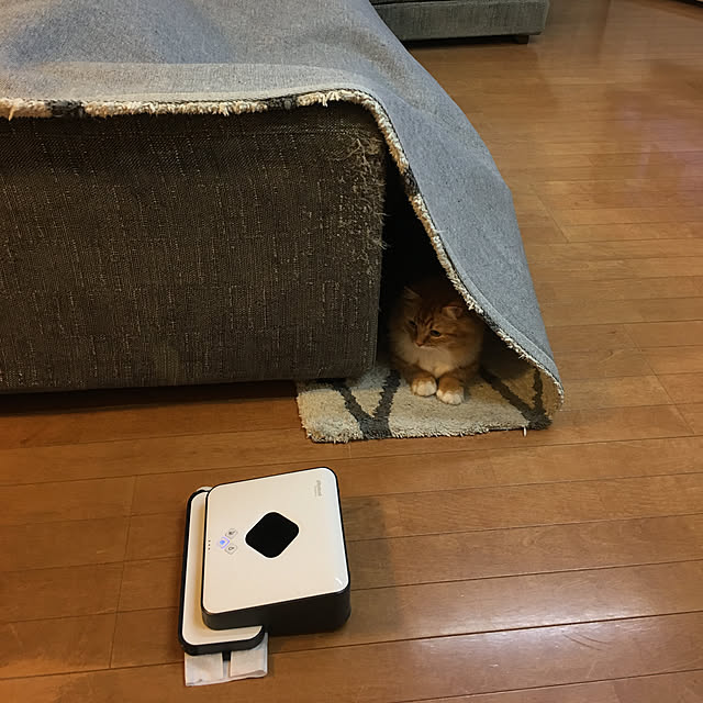 lukeさんの実例写真