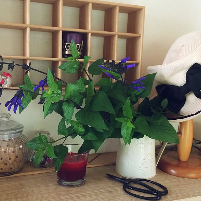 jasmine-roseteaさんの実例写真
