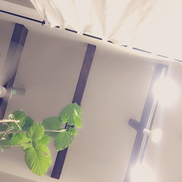 Hitomiさんの実例写真