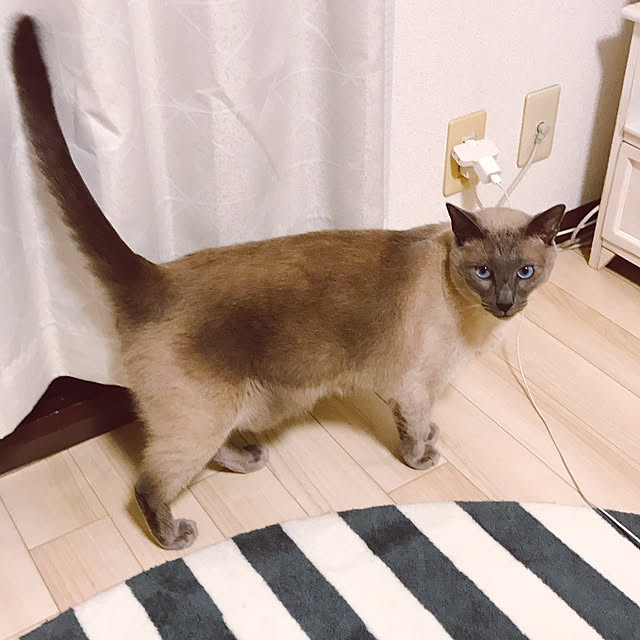 makikoさんの実例写真