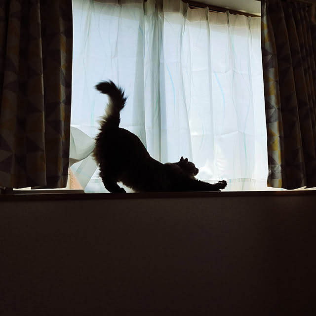 sayan_0321さんの実例写真