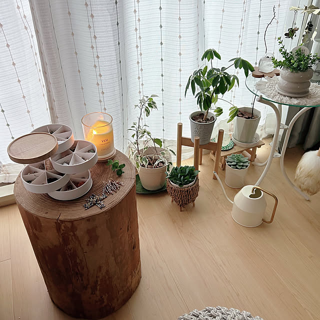 aiaiさんの部屋