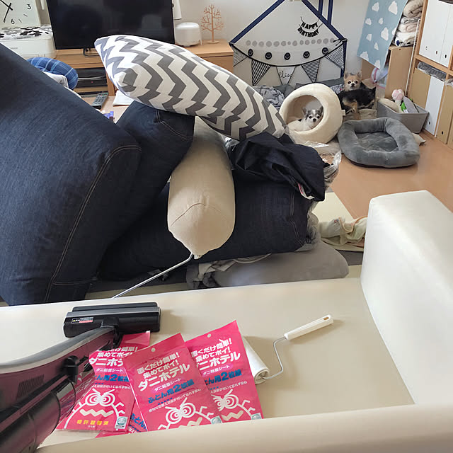 Emiさんの実例写真