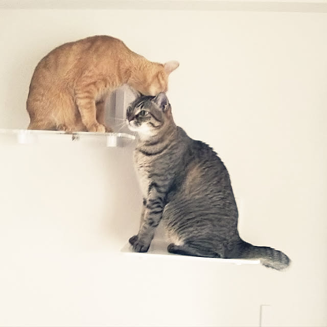 naturalさんの実例写真