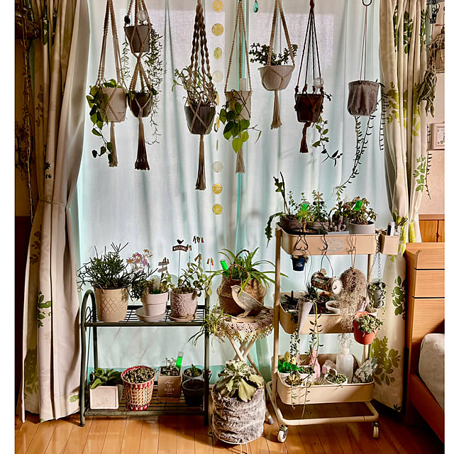 CoCo0617さんの実例写真