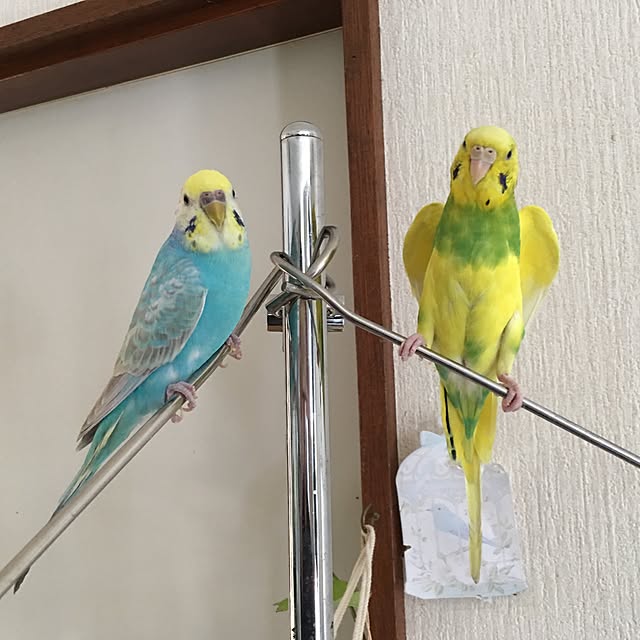 Keisukeさんの実例写真
