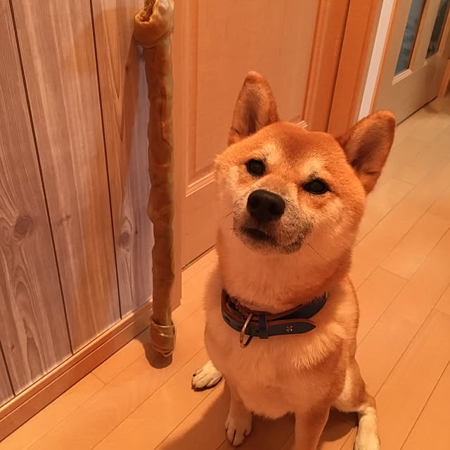 kotaさんの実例写真