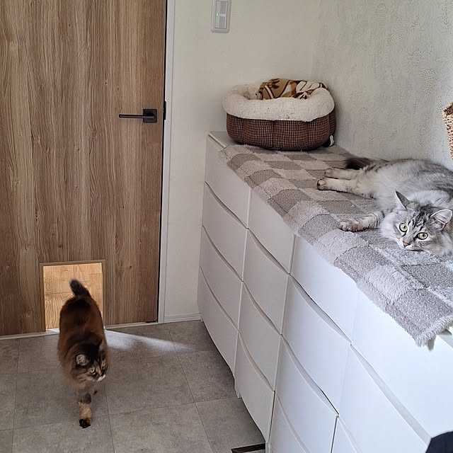 toramonaさんの部屋