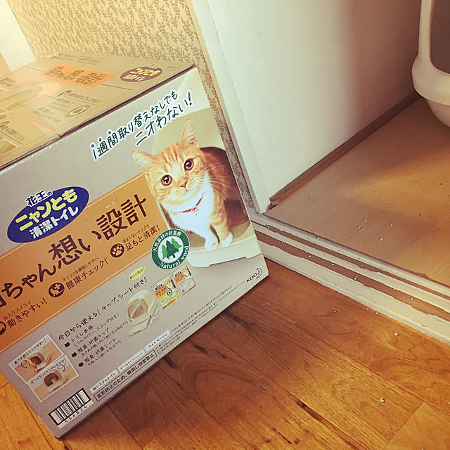 masamasaさんの実例写真