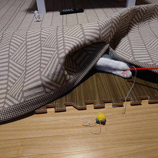 fukuさんの実例写真