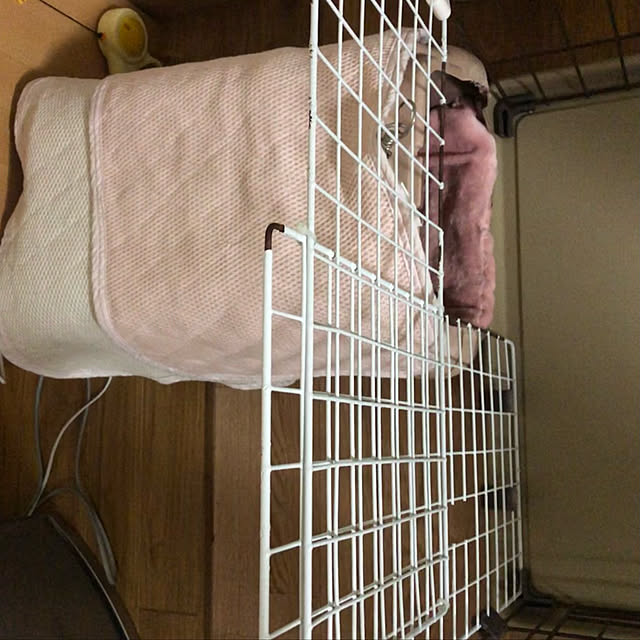 l000hareさんの実例写真