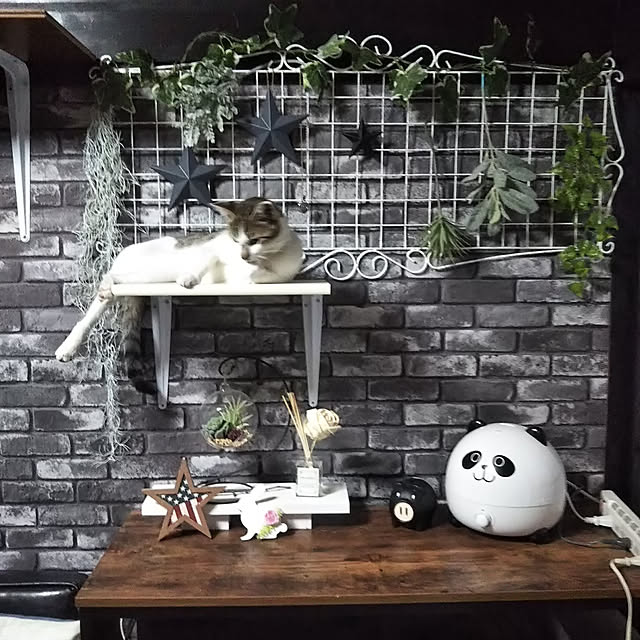 me_ta_815さんの実例写真