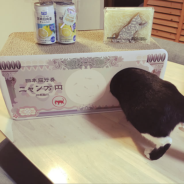 nekoさんの実例写真