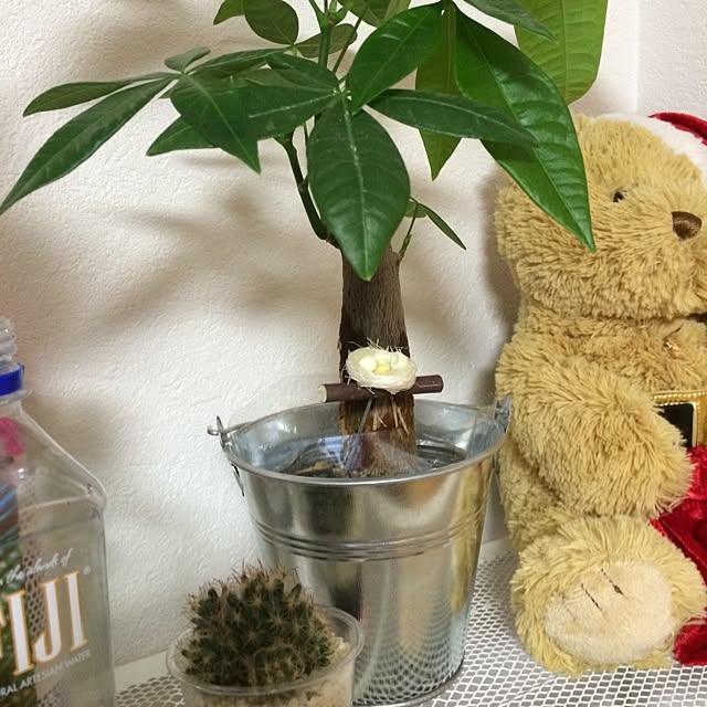 miさんの実例写真