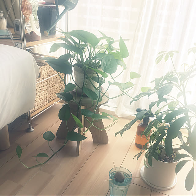 nontanさんの実例写真