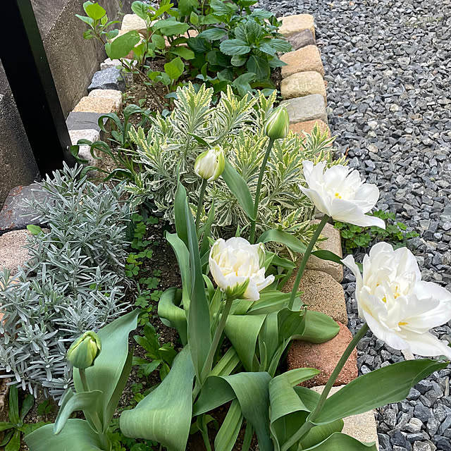 komeさんの部屋