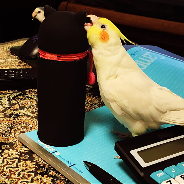 MIUOOさんの実例写真