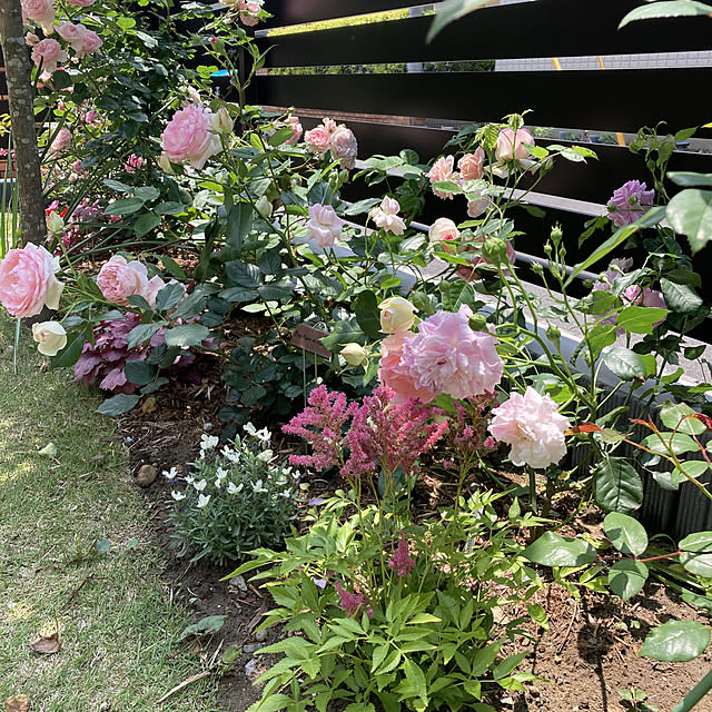 Virolさんの実例写真